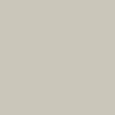 1485-Brushed: Aluminium a paint color by Benjamin Moore avaiable at Clement's Paint in Austin, TX.