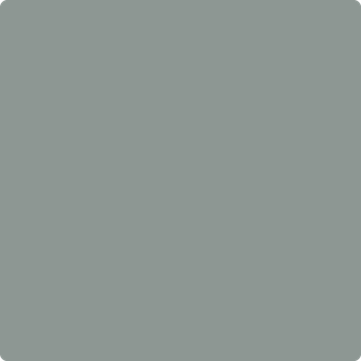 1566-Stonybrook: a paint color by Benjamin Moore avaiable at Clement's Paint in Austin, TX.