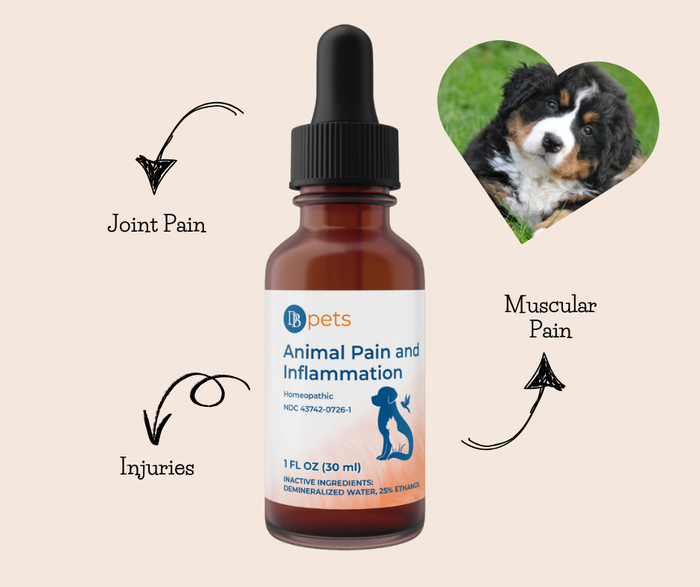 Animal Pain and Inflammation by Desbio