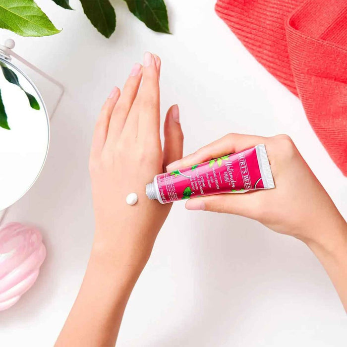 Burt's Bees Watermelon & Mint Hand Cream 28.3g