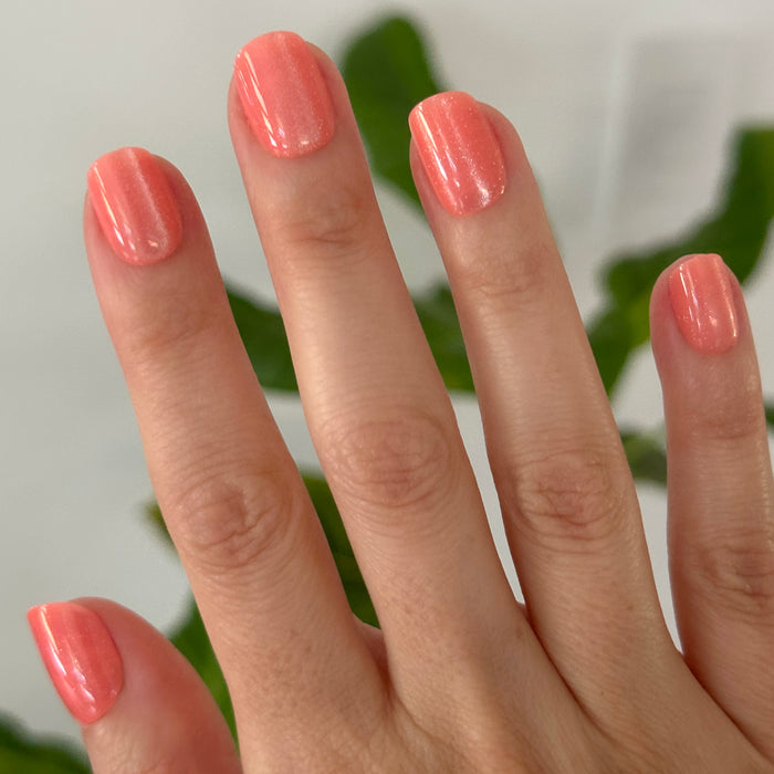 Coral Velvet - Press On | Extra Short | Squoval