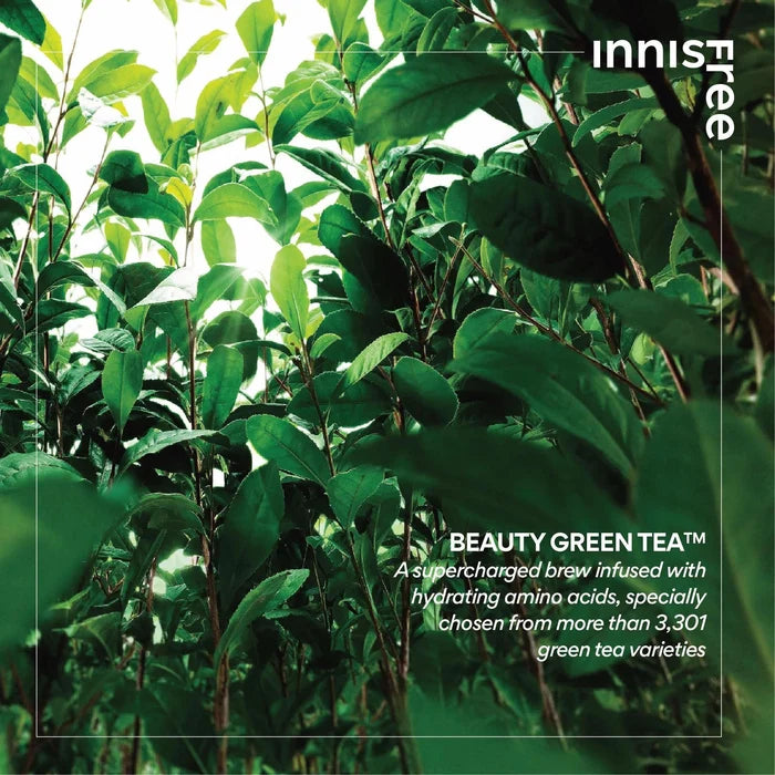 Innisfree Green Tea Seed Hyaluronic Serum 80 mL
