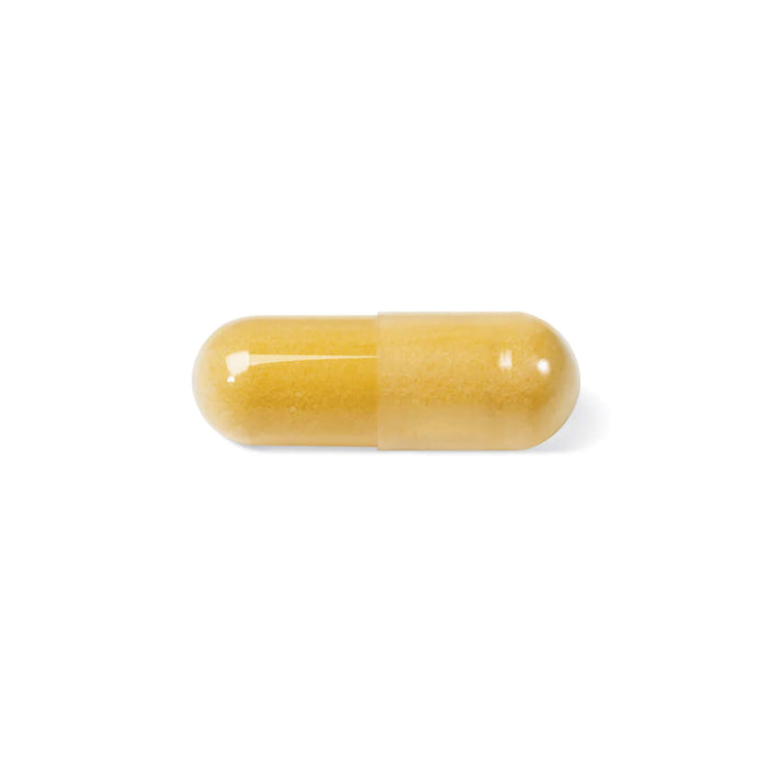 Smart Solutions Lorna Vanderhaeghe Iron Smart Capsule