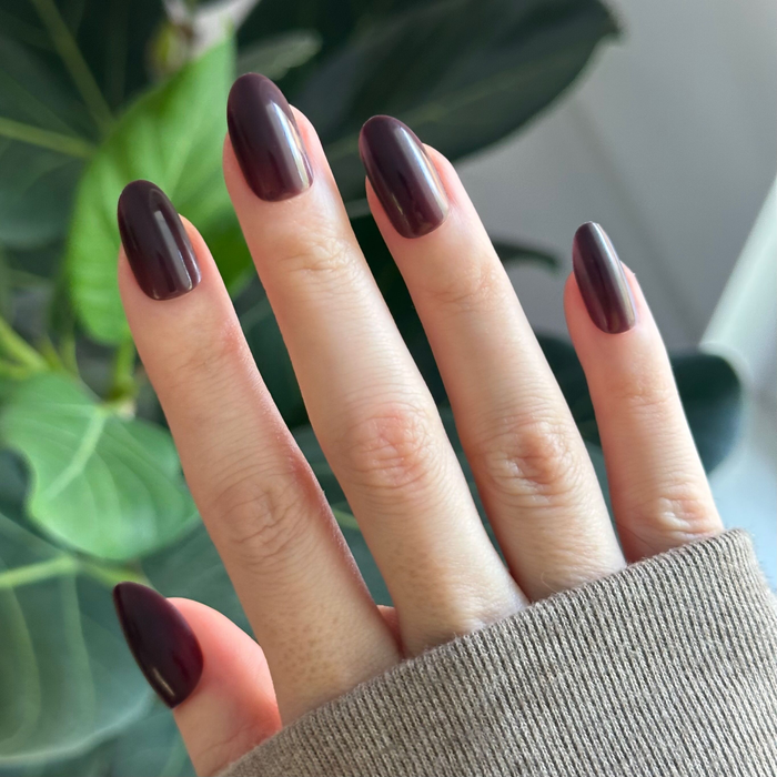 Let’s Stay In - Press-On | Medium | Oval in a rich dark maroon-brown for a cozy, long-lasting at-home manicure by Olive and June