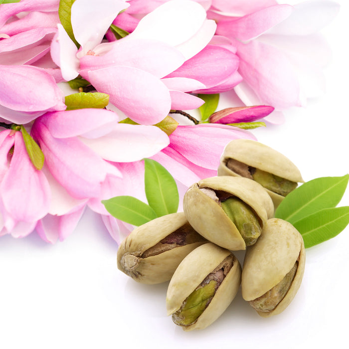 Pistachio & Magnolia Fragrance Oil 204
