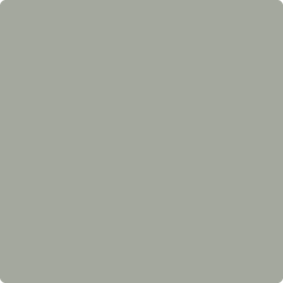 1482-Sabre: Gray  a paint color by Benjamin Moore avaiable at Clement's Paint in Austin, TX.