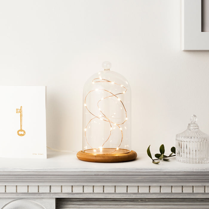 20 Warm White Led Copper Micro Fairy Lights
