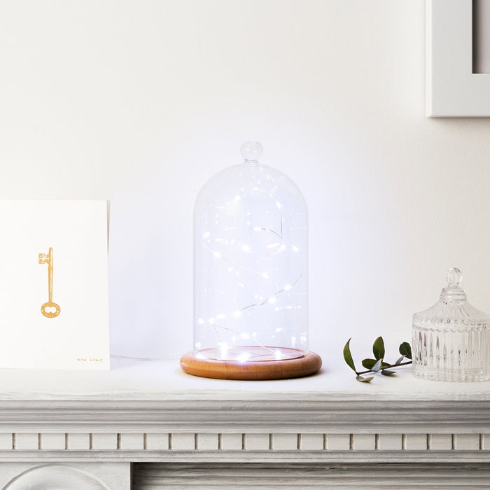 C20-W_White-LED-Micro-Wire-Battery-Fairy-Lights-bell-jar-mantelpiece_P2.jpg