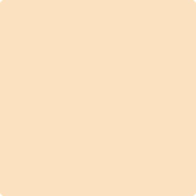 899-Secluded: Beach  a paint color by Benjamin Moore avaiable at Clement's Paint in Austin, TX.