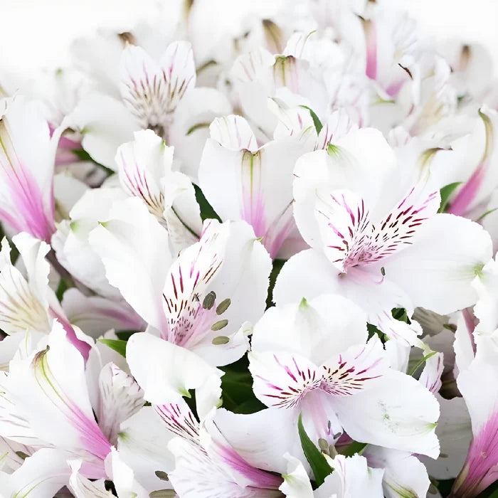 Alstroemeria Spiral Valentines Flower Arrangement - Image