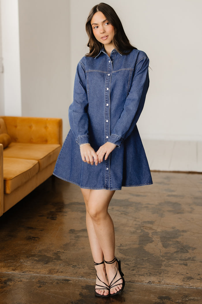 Ashleigh Blue Denim Shirt Collar Long Sleeve Flared Mini Dress 🇺🇸