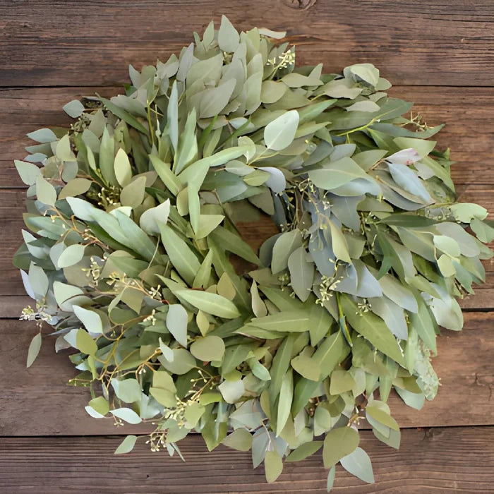 Bay Leaf and Seeded Eucalyptus Wholesale Greenery FlatLay
