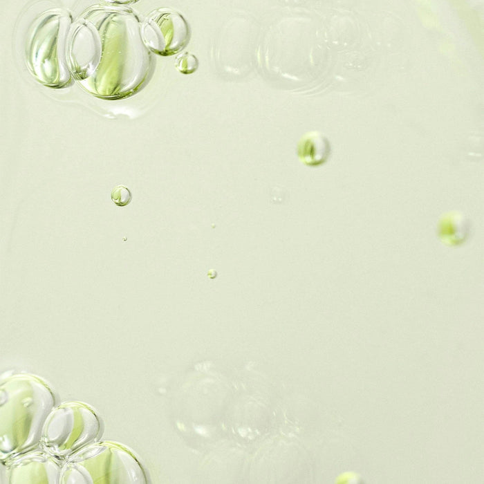 Beauty of Joseon Green Tea + Panthenol Calming Serum 1.01oz/ 30ml - ikatehouse