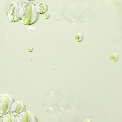 Beauty of Joseon Green Tea + Panthenol Calming Serum 1.01oz/ 30ml - ikatehouse