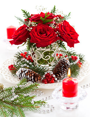 Christmas Bliss (FES) Fragrance Oil 15200