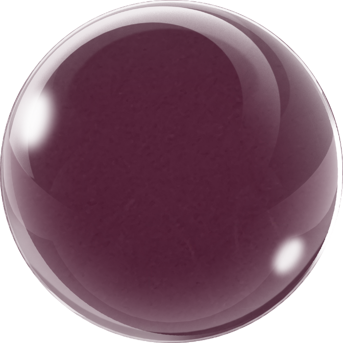 COLOR+GO 1-Step Shellac #732