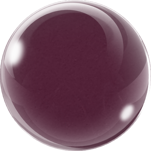 COLOR+GO 1-Step Shellac #732