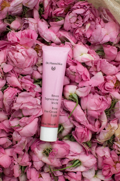 Dr. Hauschka Rose Day Cream Light 30ml bottle on rose blossoms, showcasing the limited-edition spring packaging for skincare.