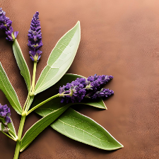 Fragrance Oil - F**king Fabulous (Tom Ford Dupe)
