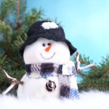 Fragrance Oil - Jack Frost