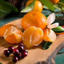 Fragrance Oil - Mandarin Cranberry (Yankee Candle Dupe)