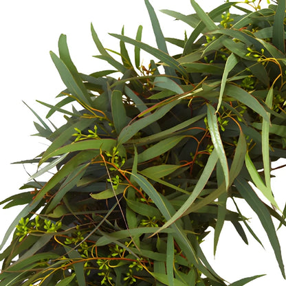 Willow Seeded Eucalyptus Wreath Delivery