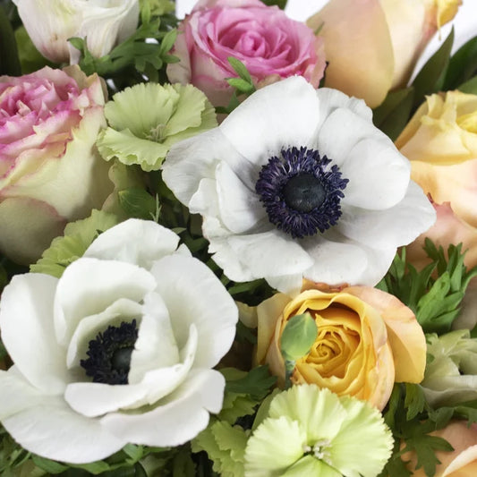 Colorful Chic Wholesale Flower Bouquet In a Hand