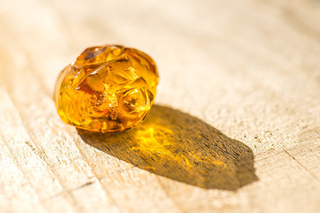 Gilded Amber Fragrance Oil 15575
