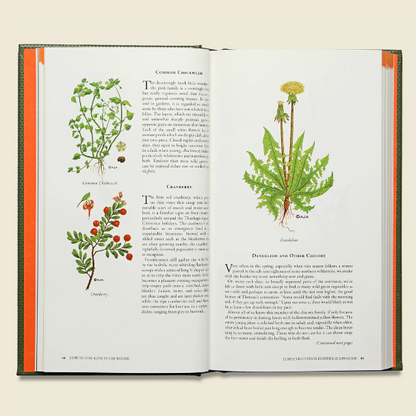 Survival guide book open to illustrated foraging and safety pages