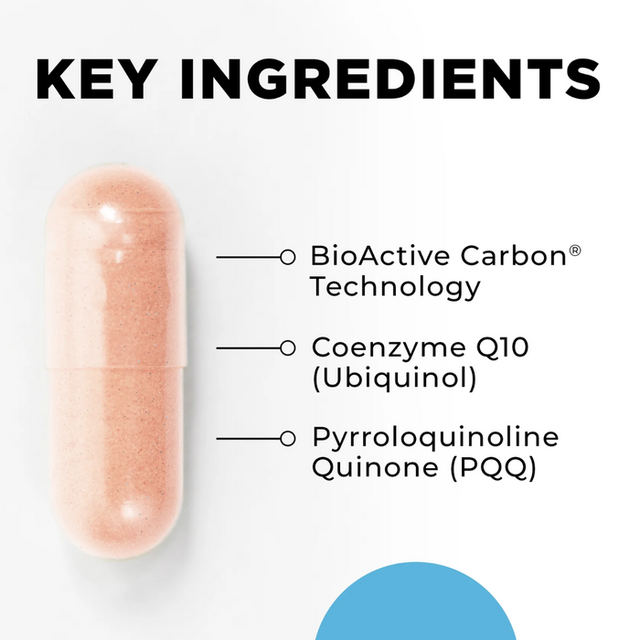 MitoActive by CellCore Biosciences