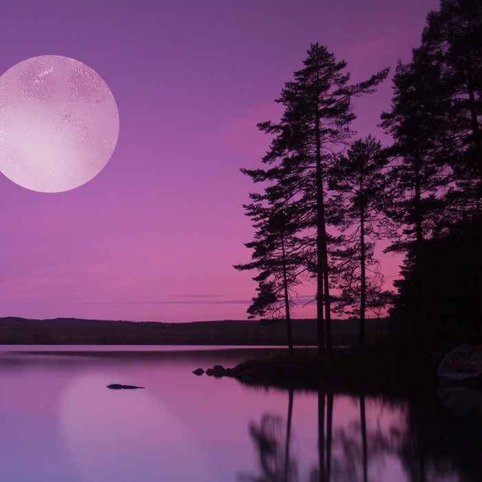 Moonlight Path Fragrance Oil 316