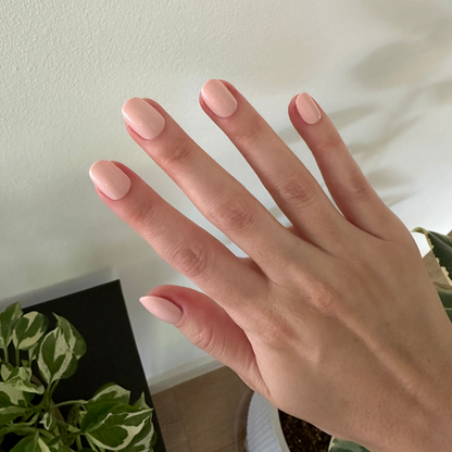 Pointe | Extra Short | Round - Tab Press-On nails in soft ballerina pink mani shown on hand indoors near plants
