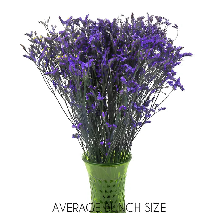 Purple Airbrushed Limonium Flowers