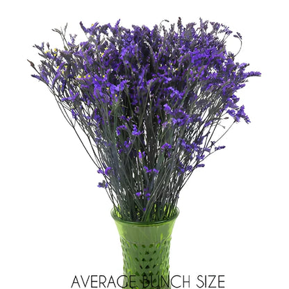 Purple Airbrushed Limonium Flowers