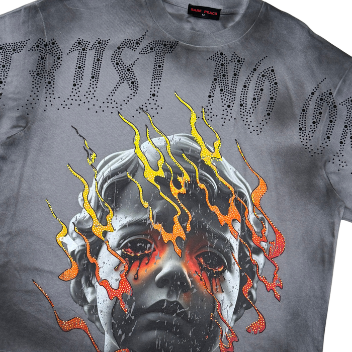 Rare Peace "Trust No One Flames" Rhinestone Grey Tee