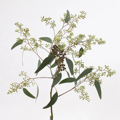 Green Seeded Eucalyptus Greenery Stem