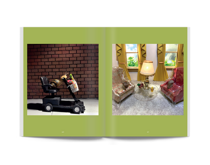 Open book spread showing two photos of a small snail in indoor scenes