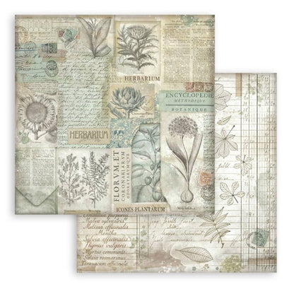 Stamperia - 8"X8" Backgrounds Paper Pad - Herbarium Silvae. Includes 10 sheets double-sided. Available at Embellish away in Bowmanville Ontario Canada.