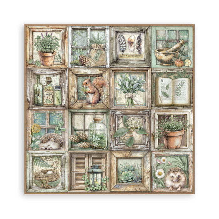 Stamperia - 8X8 Maxi Paper Pad - Herbarium Silvae. Includes 22 sheets. Available at Embellish Away located in Bowmanville Ontario Canada.