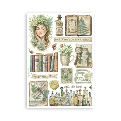 Stamperia - A5 Washi Pad - Herbarium Silvae. Includes 8 Sheets. Available at Embellish Away located in Bowmanville Ontario Canada.