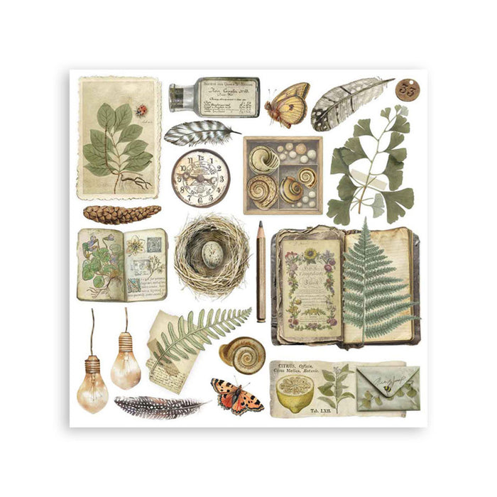 Stamperia - Rub-on Kit - Herbarium Silvae. Available at Embellish Away located in Bowmanville Ontario Canada.