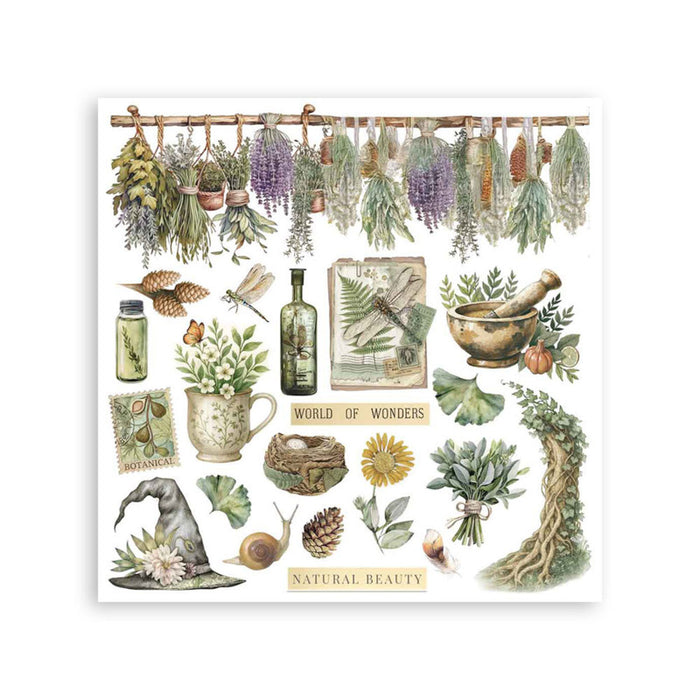 Stamperia - Rub-on Kit - Herbarium Silvae. Available at Embellish Away located in Bowmanville Ontario Canada.