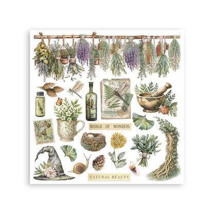 Stamperia - Rub-on Kit - Herbarium Silvae. Available at Embellish Away located in Bowmanville Ontario Canada.