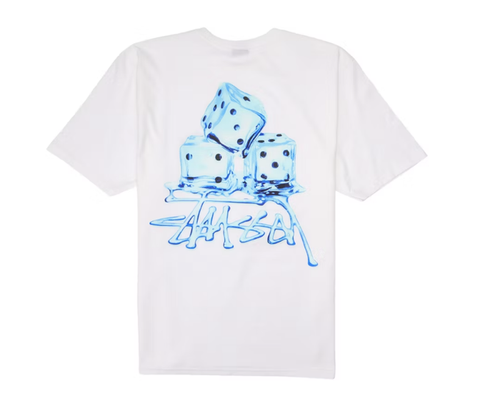 Stussy Melted Tee - White