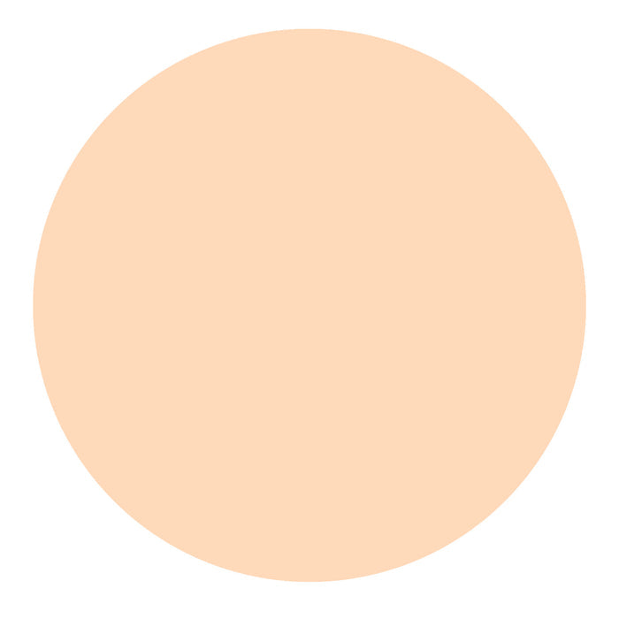 TIRTIR Mask Fit Red Cushion Foundation 0.63oz/ 18g