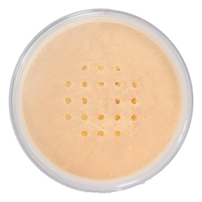 Translucent Powder Extra Fine
