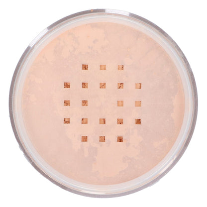 Translucent Powder Extra Fine