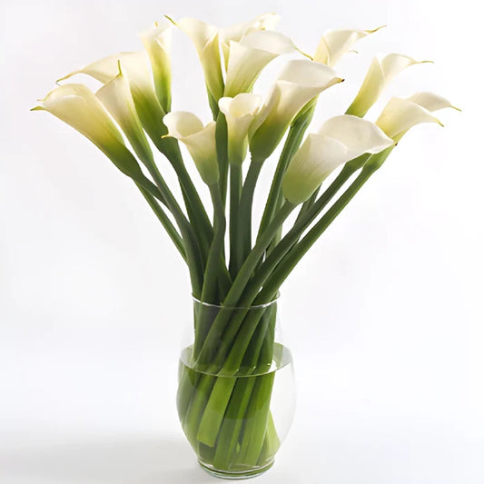 White Calla Lily Flower Bouquet